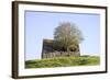 Elder Tree Growing Through Roof of Stone Barn-null-Framed Photographic Print