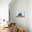 Elder Tree Growing Through Roof of Stone Barn-null-Photographic Print displayed on a wall