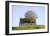 Elder Tree Growing Through Roof of Stone Barn-null-Framed Photographic Print