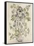 Elder-Tree Mother-Arthur Rackham-Framed Stretched Canvas