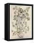 Elder-Tree Mother-Arthur Rackham-Framed Stretched Canvas