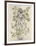 Elder-Tree Mother-Arthur Rackham-Framed Photographic Print