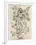 Elder-Tree Mother-Arthur Rackham-Framed Photographic Print