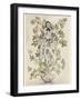 Elder-Tree Mother-Arthur Rackham-Framed Photographic Print