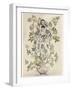 Elder-Tree Mother-Arthur Rackham-Framed Photographic Print