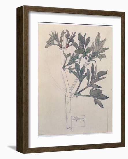 Elder, Walberswick, 1915-Charles Rennie Mackintosh-Framed Premium Giclee Print