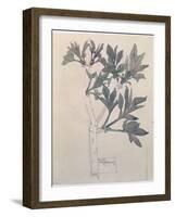 Elder, Walberswick, 1915-Charles Rennie Mackintosh-Framed Giclee Print