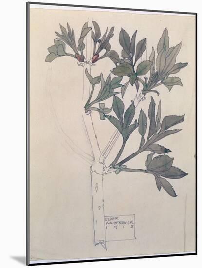 Elder, Walberswick, 1915-Charles Rennie Mackintosh-Mounted Giclee Print