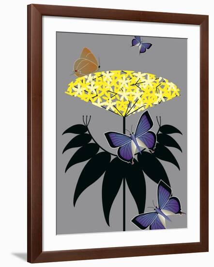 Elderberry-Marie Sansone-Framed Giclee Print