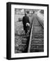 Elderly Hobo, with Bundle Strapped to His Back, Walking Along Train Tracks-Carl Mydans-Framed Photographic Print