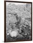 Elderly Miner Named "Daddy"-null-Framed Photographic Print