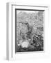 Elderly Miner Named "Daddy"-null-Framed Photographic Print