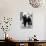 Elderly Polish Couple Walking Hand in Hand-Paul Schutzer-Photographic Print displayed on a wall