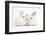 Elderly White Rabbit, Foggy, 8 Years Old, and His Young Son, 9 Weeks Old-Mark Taylor-Framed Photographic Print