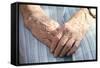 Elderly Woman's Hands-Victor De Schwanberg-Framed Stretched Canvas