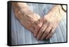 Elderly Woman's Hands-Victor De Schwanberg-Framed Stretched Canvas