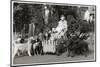 Elderly Woman with Large Number of Dogs-null-Mounted Photographic Print