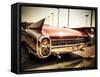 Eldorado-Stephen Arens-Framed Stretched Canvas