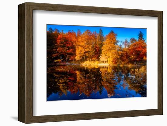 Eldorado-Philippe Sainte-Laudy-Framed Photographic Print