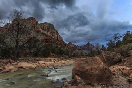 Premium Photographic Print, , large