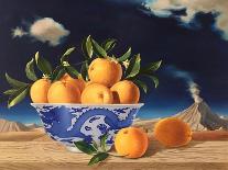 Chinese Bowl of Oranges, 2014-ELEANOR FEIN FEIN-Stretched Canvas