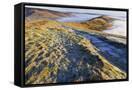 Canvas Black
