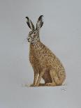 Hare, 2021 (watercolour)-Eleanor Grafton-Stretched Canvas
