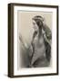 Eleanor of Provence Queen of Henry III and Mother of Edward I of England-B. Eyles-Framed Art Print