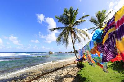 Bathsheba, colourful garments blow in the breeze, windswept palm trees, Barbados