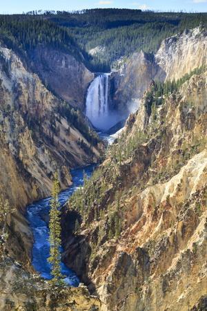 Lower Falls and the Grand Canyon of the Yellowstone, Yellowstone National Park, Wyoming, Usa