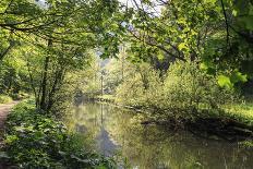 River Wye Lined by Trees in Spring Leaf with Riverside Track, Reflections in Calm Water-Eleanor Scriven-Photographic Print