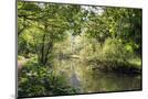 Wood Mount