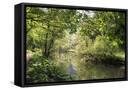 Framed Canvas