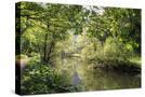Stretched Canvas