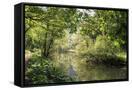 Canvas Black