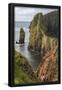 Essential Black