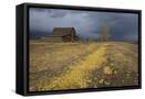 Framed Canvas