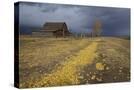 Stretched Canvas