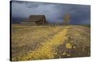 Stretched Canvas