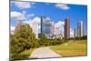 Eleanor Tinsley Park, Houston, Texas, United States of America, North America-Kav Dadfar-Mounted Photographic Print