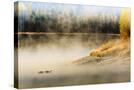 Stretched Canvas