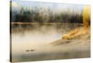 Stretched Canvas
