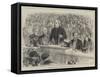 Election Sketches, Mr John Bright at Birmingham-null-Framed Stretched Canvas