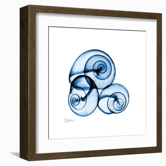 Electric Blue Moonsnails 1-Albert Koetsier-Framed Art Print