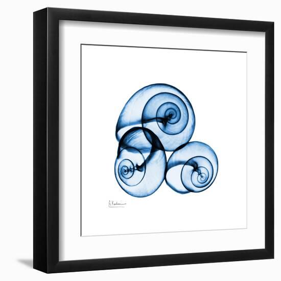 Electric Blue Moonsnails 1-Albert Koetsier-Framed Art Print