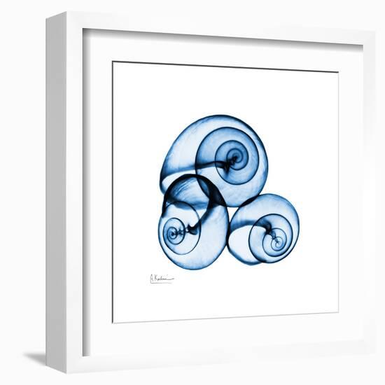 Electric Blue Moonsnails 1-Albert Koetsier-Framed Art Print