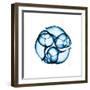 Electric Blue Moonsnails 2-Albert Koetsier-Framed Art Print