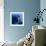 Electric Blue-Miles Morgan-Framed Photographic Print displayed on a wall