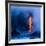 Electric Blue-Miles Morgan-Framed Photographic Print