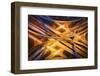 Electric City-Michael Zheng-Framed Photographic Print